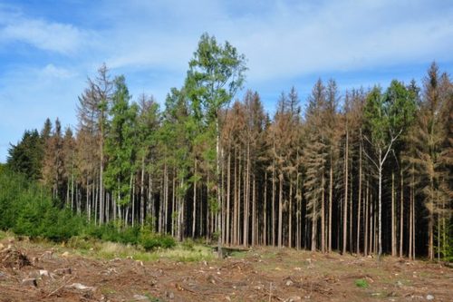 Nová slova pro antropocén